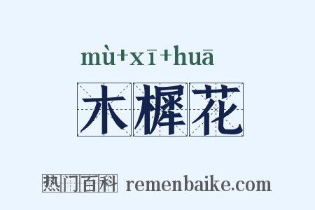 木樨花是什么意思的图片